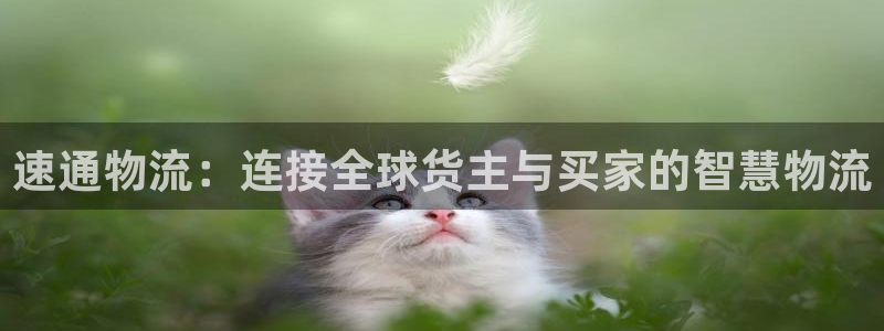 usdt官方网站：速通物流：连接全球