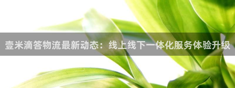 usdt钱包地址查询交易记录