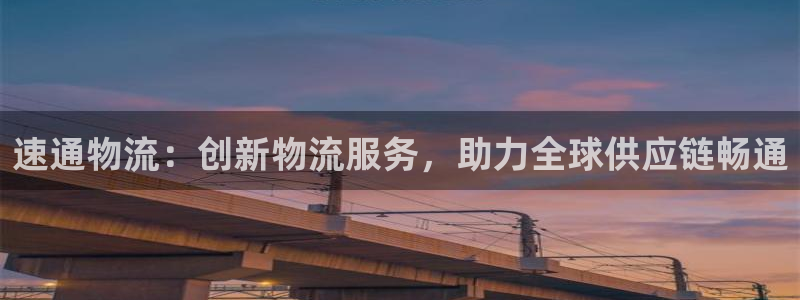 usdt取钱：速通物流：创新物流服务