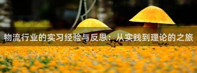 币币usdt：物流行业的实习经验与反