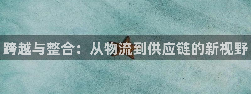 usdt会冻结吗：跨越与整合：从物流