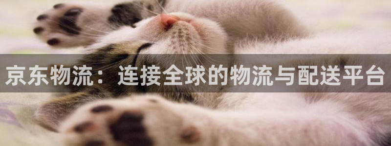 usdt互转地址能查到吗：京东物流：
