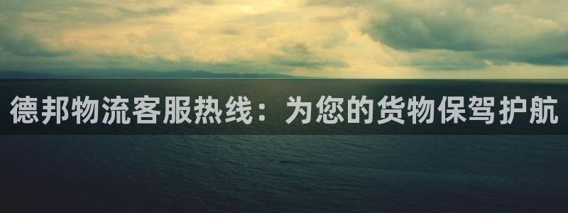 usdt 钱包里的钱怎么提现：德邦物
