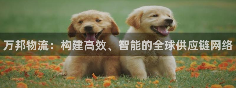 usdt如何提现到人民币：万邦物流：