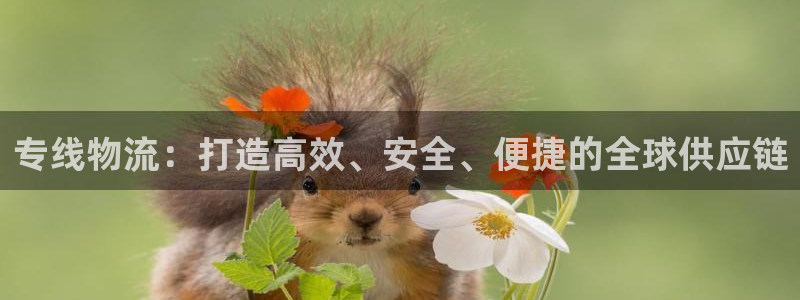 币 usdt