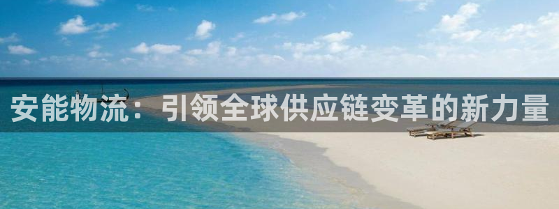 USDT注册公司：安能物流：引领全球