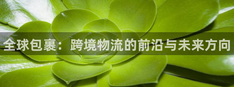 usdt下载什么软件：全球包裹：跨境