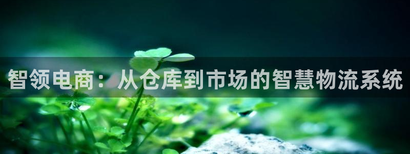 账户usdt余额不足：智领电商：从仓
