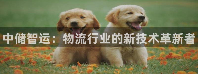 usdty：中储智运：物流行业的新技
