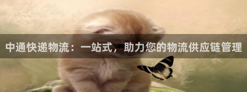 Usdt交易所地址查询：中通快递物流