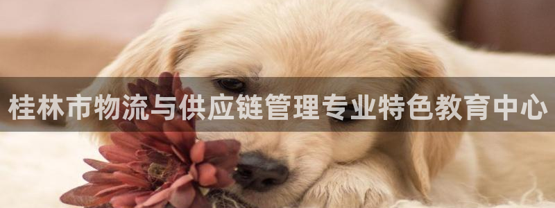 USDT钱包app下载