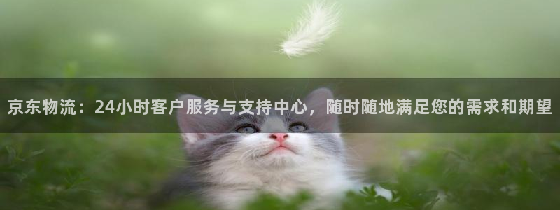 erc usdt：京东物流：24小时