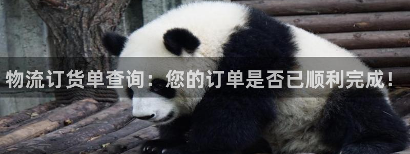 注册usdt账户：物流订货单查询：您