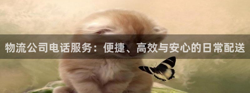 usdt钱包可以互转吗：物流公司电话