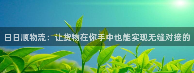 哪个钱包可以存usdt