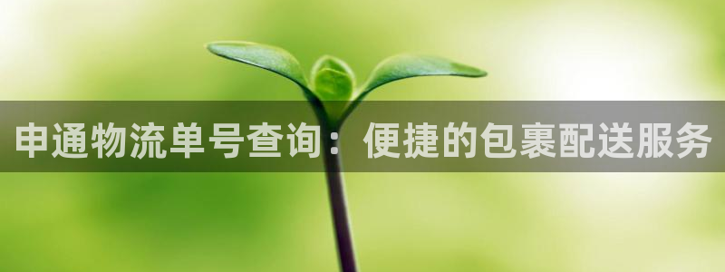 usdt 交易未兑付