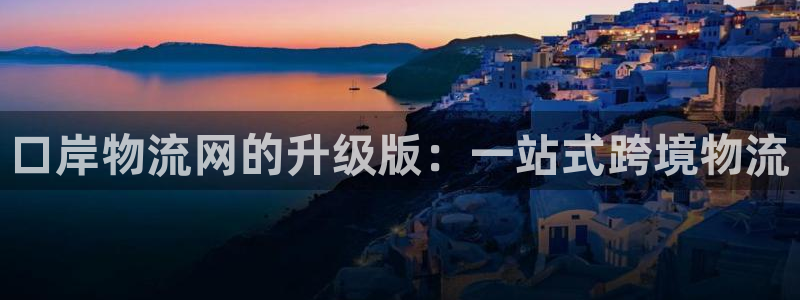 Usdt交易照片：口岸物流网的升级版