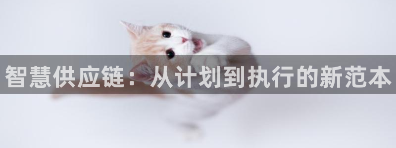 usdt在中国受法律保护吗