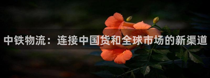 USDT钱包地址查询属于那个钱包