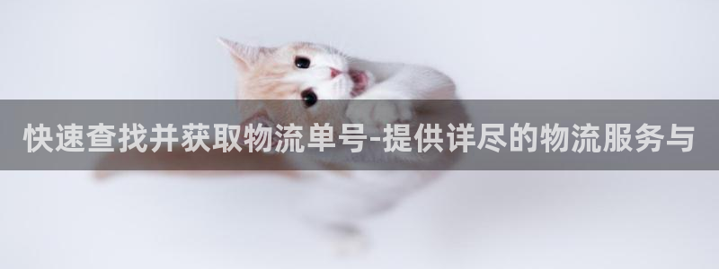 usdt国内交易合法吗