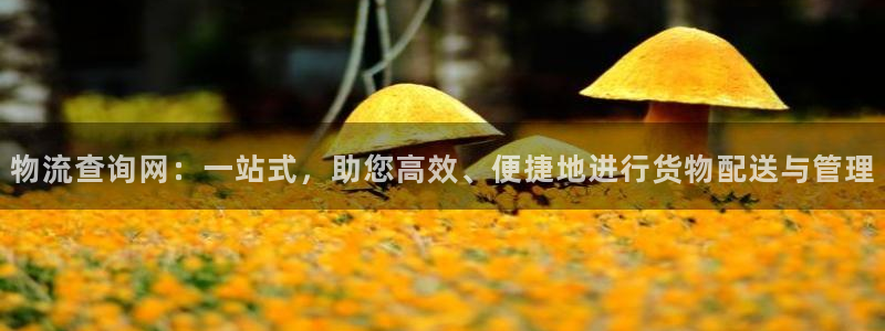 usdt/ust：物流查询网：一站式