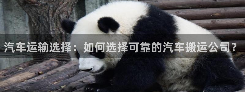 如何获得usdt地址