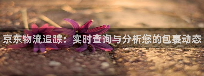 usdt区块链浏览器
