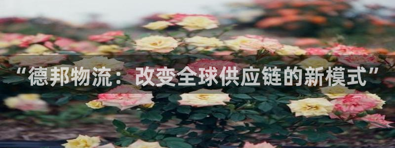 国内usdt犯罪