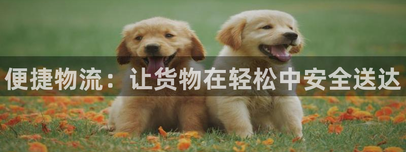 usdt地址注册：便捷物流：让货物在