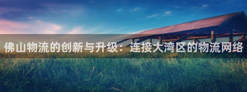 usdt提现教程：佛山物流的创新与升