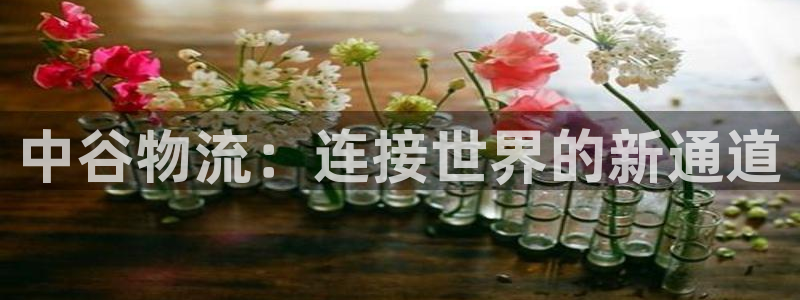 usdt地址怎么填写：中谷物流：连接