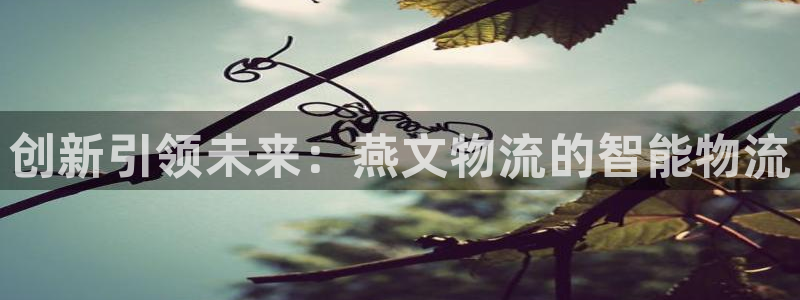 usdtunknown：创新引领未来