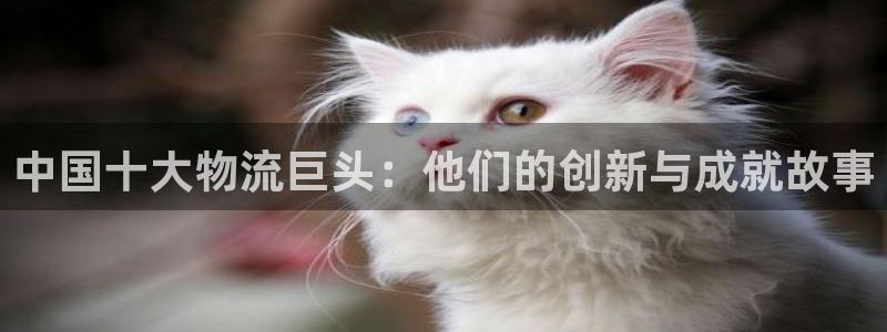 usdt需要洗吗：中国十大物流巨头：
