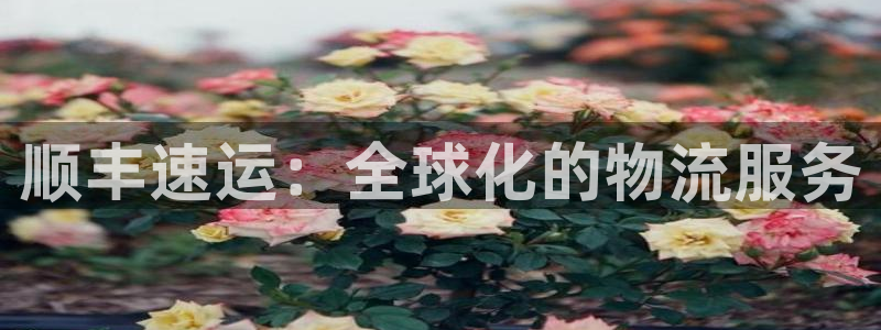 usdt钱包截图生成器