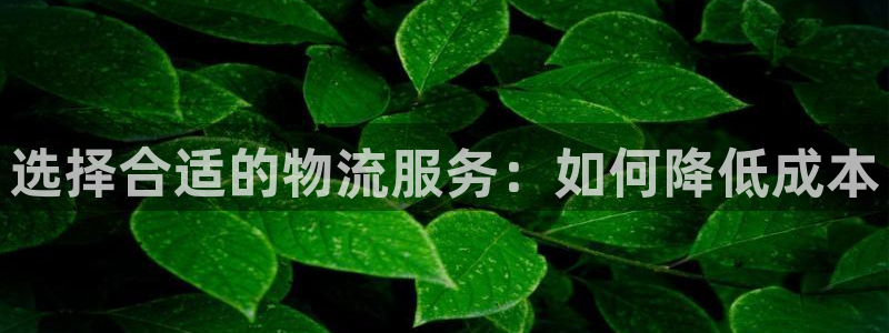 usdt钱包地址能给别人么?：选择合