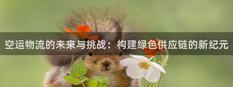 usdt官方汇率