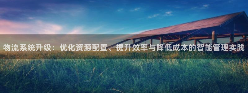usdt支付：物流系统升级：优化资源