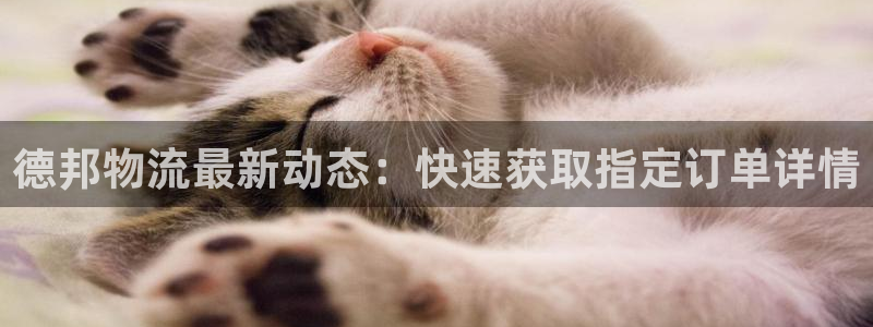 usdt提现怎么弄