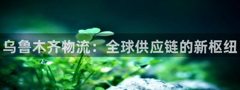 钱包usdt怎么买bnb