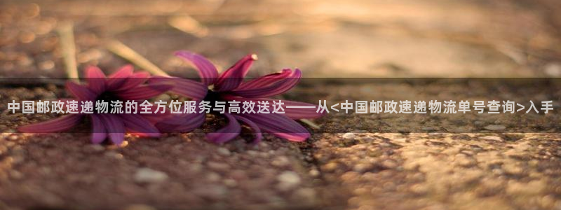 usdt钱包下载注册：中国邮政速递物