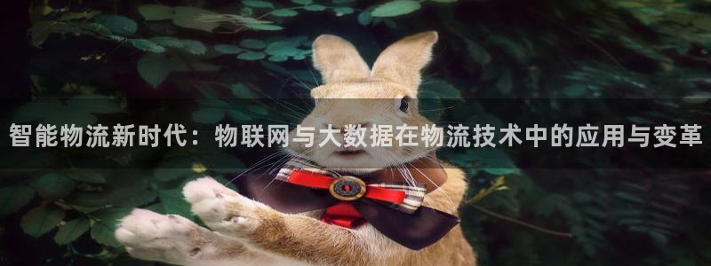 usdt可以追踪吗：智能物流新时代：