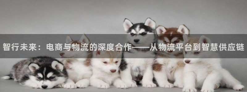 usdt分几种：智行未来：电商与物流